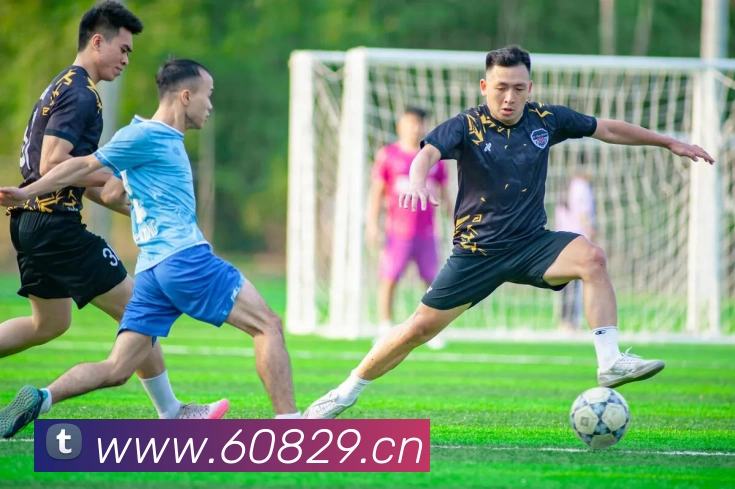 多媒体互动体验